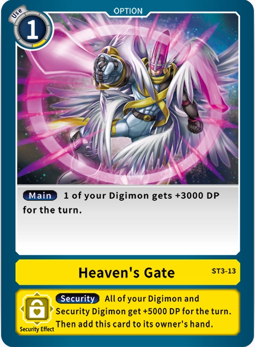Option Card